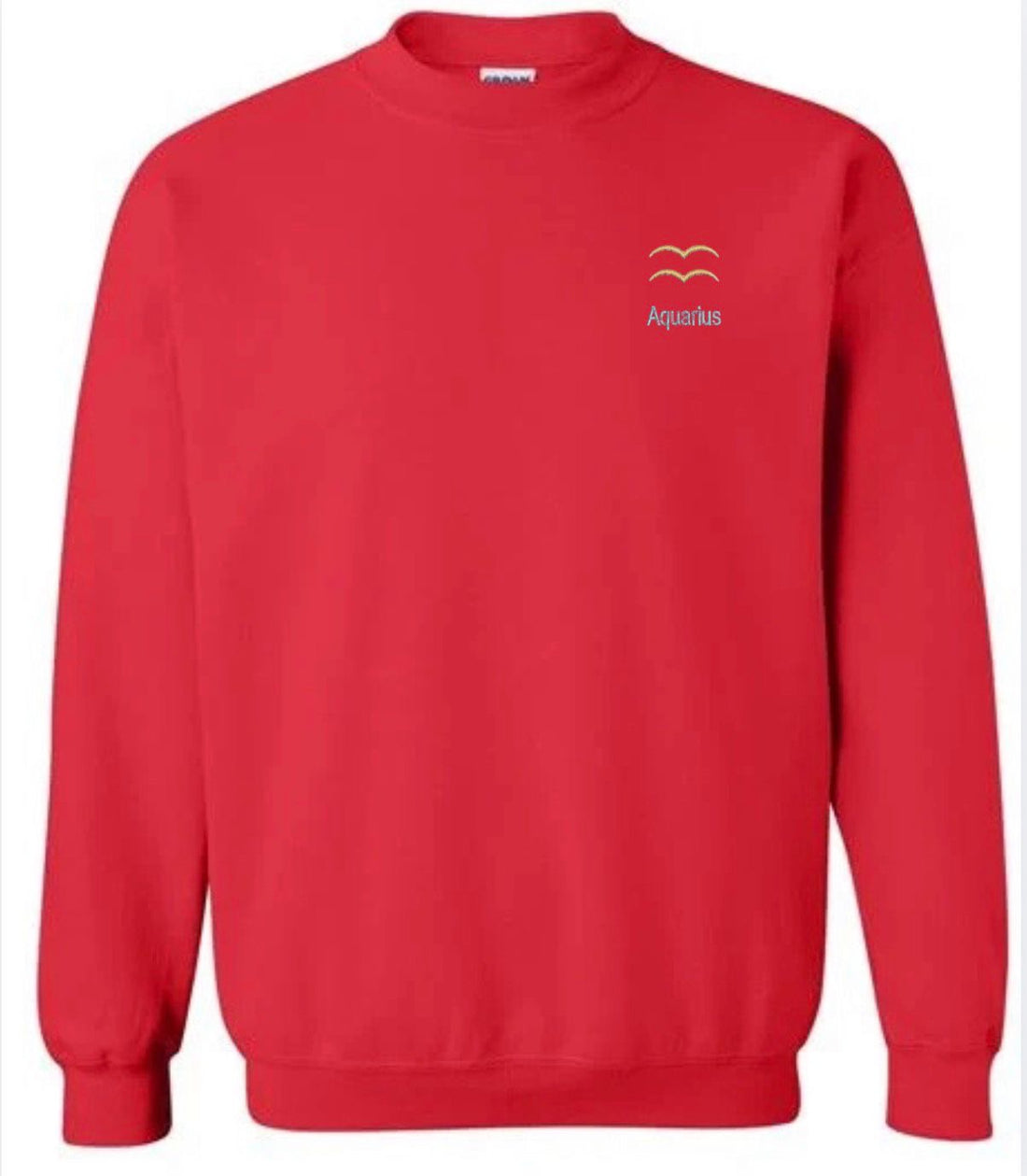 Aquarius Horescope Embroidery Hoodie