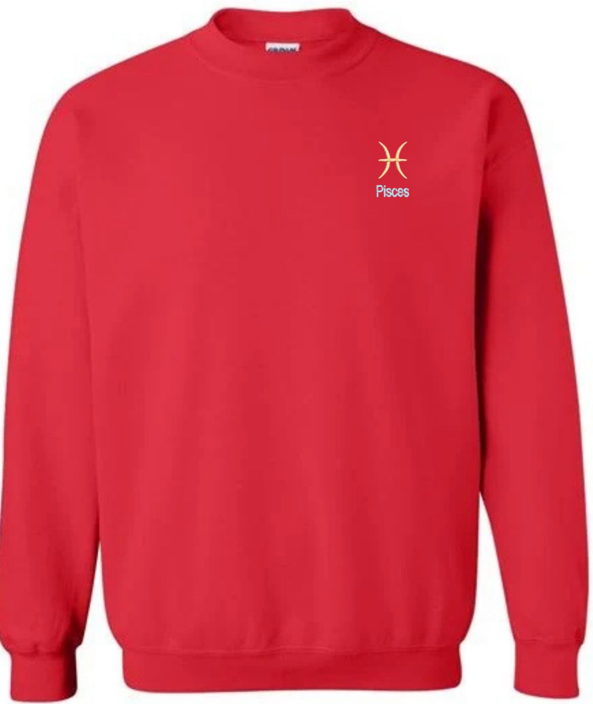 Pisces Horescope Embroidery Hoodie