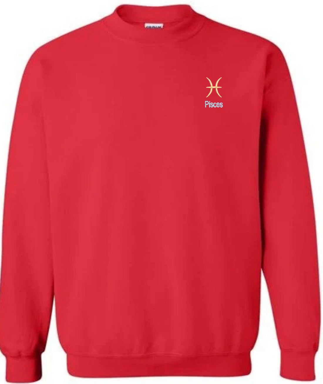 Pisces Horescope Embroidery Hoodie