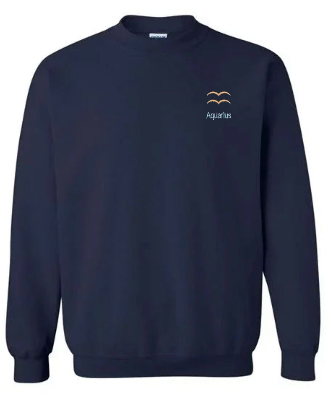 Aquarius Horescope Embroidery Hoodie