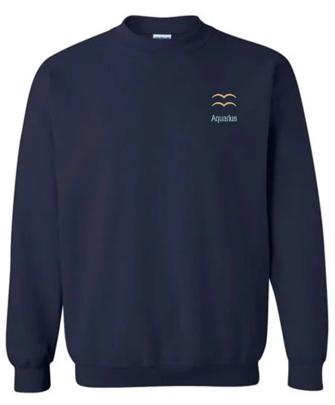 Aquarius Horescope Embroidery Hoodie