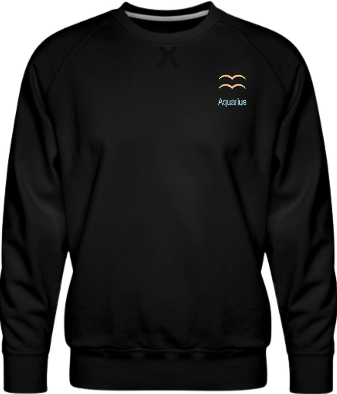 Aquarius Horescope Embroidery Hoodie