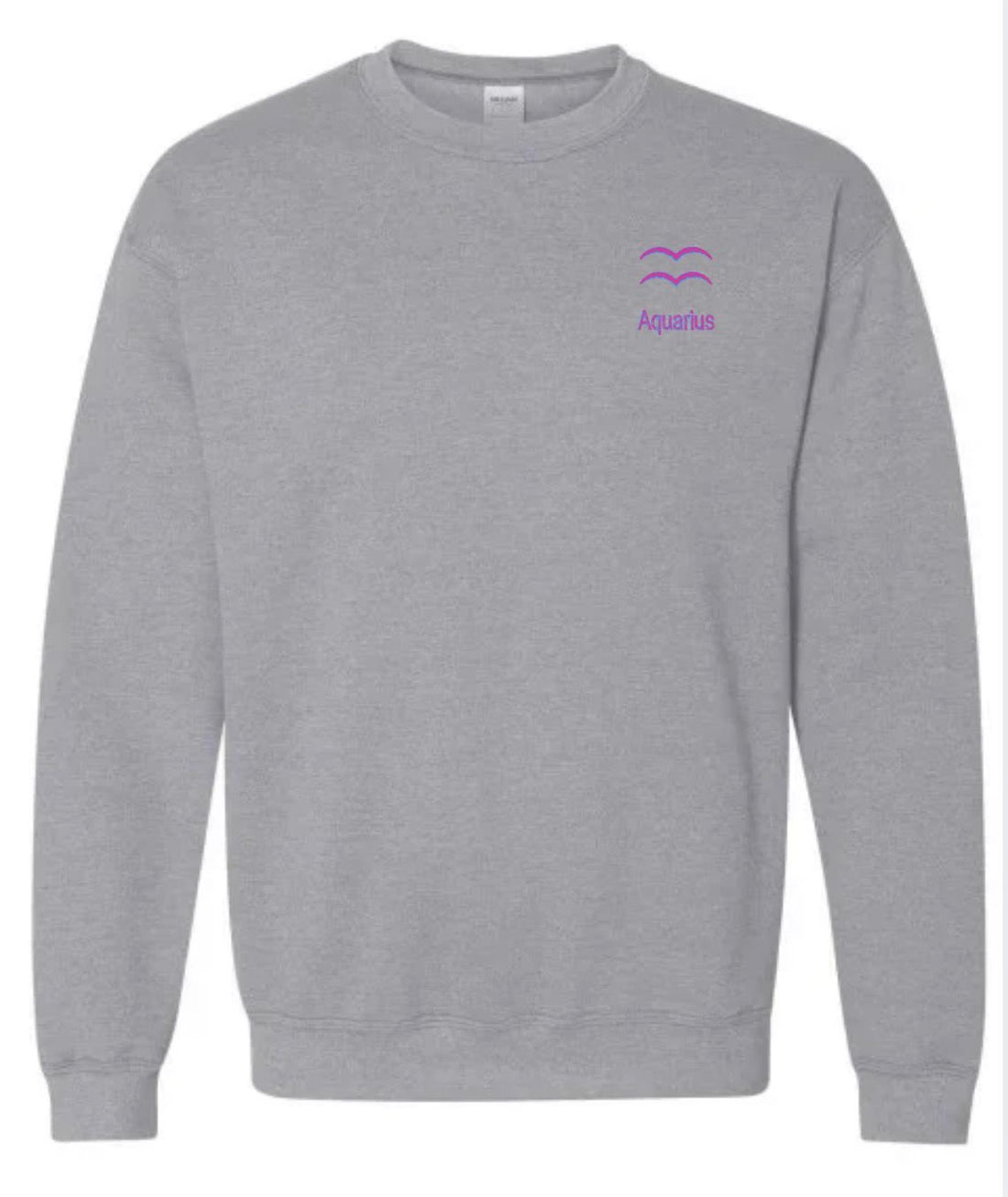 Aquarius Horescope Embroidery Hoodie