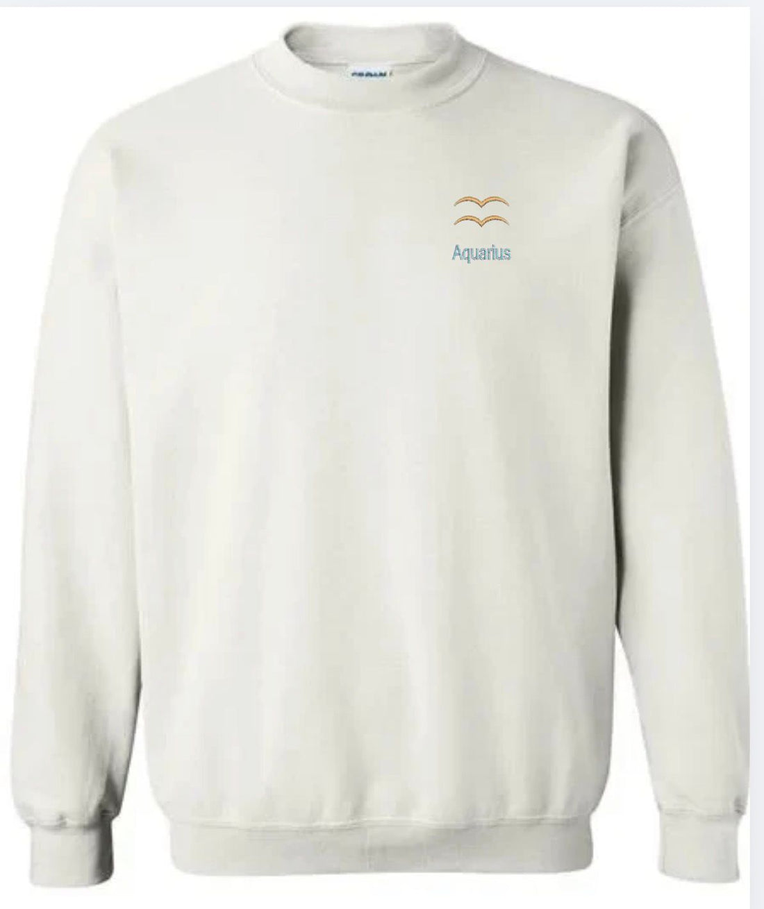 Aquarius Horescope Embroidery Hoodie