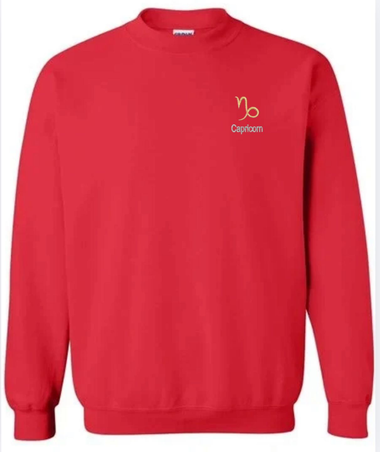 Capricorn Horescope Embroidery Hoodie